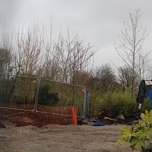 Tree Kangaroo Exhibit