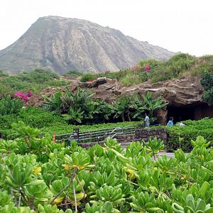 Visitor Center - Exterior