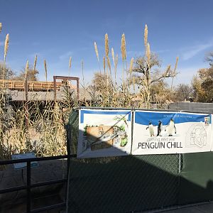 Penguin Construction_001