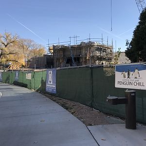 Penguin Construction_002