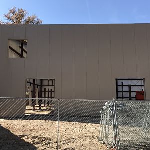 Female Elephant Barn Construction