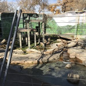 Renovated Malayan Tiger Exhibit