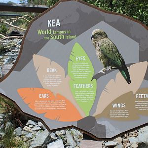 Kea Signage