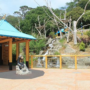 Sun Bear enclosure (front view)
