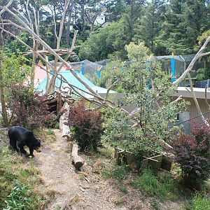 Sun Bear enclosure (top view)