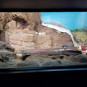 Dec. 2017 - Night Hunters - Aardwolf Exhibit (Lights On)