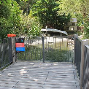 Little Blue Penguin enclosure