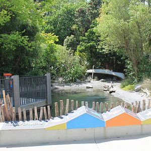 Little Blue Penguin enclosure