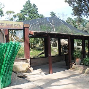 Grassland Cats exhibit