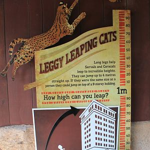 Serval signage