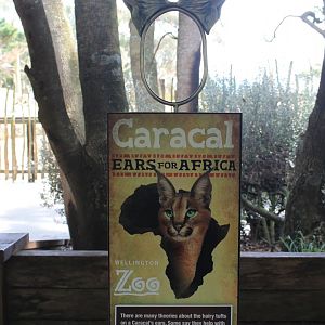 Caracal signage
