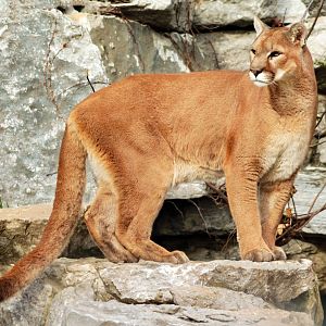 Dec. 2017 - Cat Canyon - Joseph