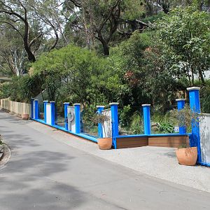 Tasmanian Devil enclosure