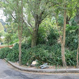 Neighbours, Australian walk-through enclosure