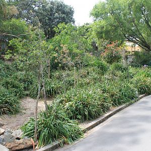 Neighbours, Australian walk-through enclosure