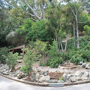 Neighbours, Australian walk-through enclosure