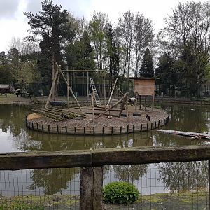 Island under construction