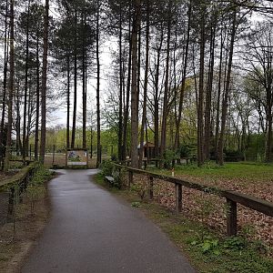 20170416_121312 View into the Park