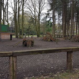 Muntjac - Wallaby-enclosure