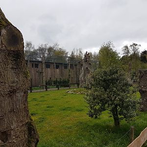 Bird-of-prey aviaries