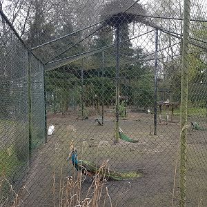 Wader-aviary