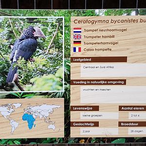 Sign Trumpeter hornbill