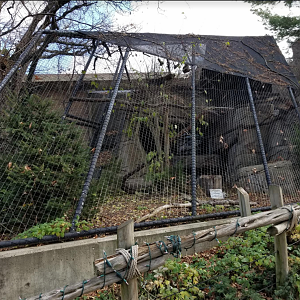 Dec. 2017 - Night Hunters - Empty Exhibit