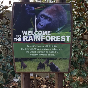 Dec. 2017 - Gorilla World - New Signage