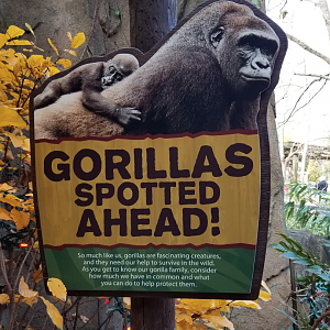Dec. 2017 - Gorilla World - New Signage