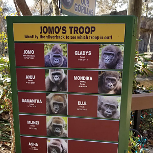 Dec. 2017 - Gorilla World - New Troop Signage - Jomo's Group