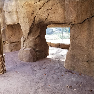 Dec. 2017 - Gorilla World - New Viewing For Outdoor Exhibit