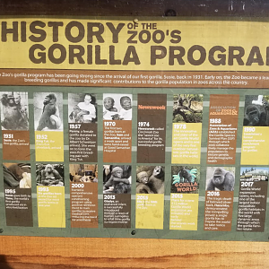 Dec. 2017 - Gorilla World - New Signage - History of the Zoo's Gorillas