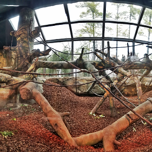 Dec. 2017 - Gorilla World - New! Indoor Exhibit Panorama