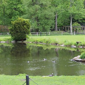View of Walk-Through Enclosure