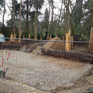 Construction-site Lion-enclosure