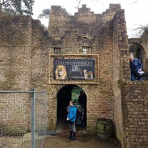 Viewing-tower new Lion-enclosure