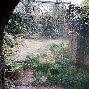 View into part of the Lion-enclosure