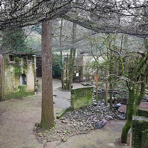 Former Bald ibis-enclosure