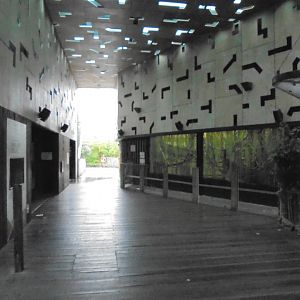 Very quiet Gorilla Kingdom. Wet winter morning