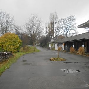 North Bank- looking pretty  derelict here.