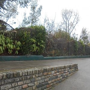 North Bank aviaries, rundown and empty.