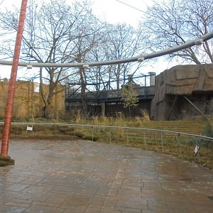 Land of the Lions . Main enclosure/plaza.