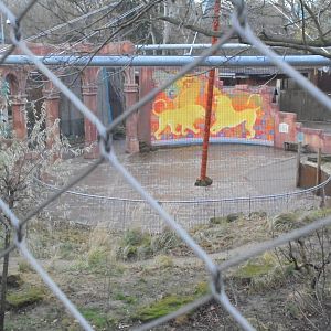 Land of the Lions view.