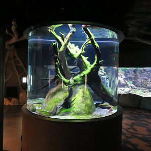 Cylindrical tank in rivers and streams.