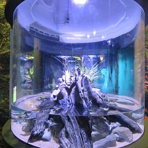 Freshwater Snake Exhibit