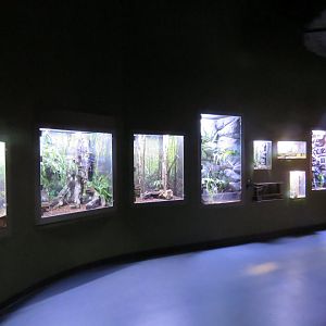 General View in rainforest floor Zone