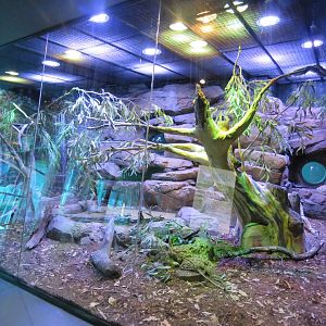 Scrub python exhibit