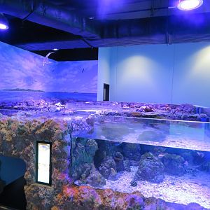 Tank with pop up area in the middle