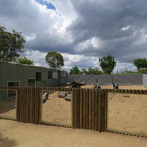 Meerkat Exhibit