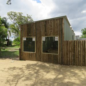 Meerkat Indoor Exhibit